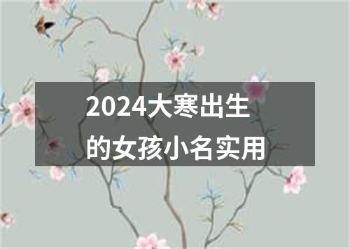 2024大寒出生的女孩小名实用