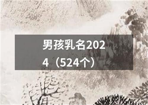 男孩乳名2024（524个）