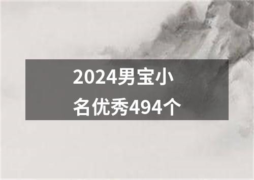 2024男宝小名优秀494个