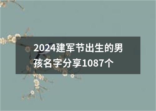 2024建军节出生的男孩名字分享1087个