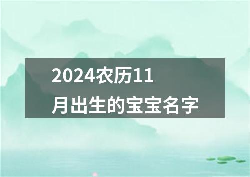 2024农历11月出生的宝宝名字