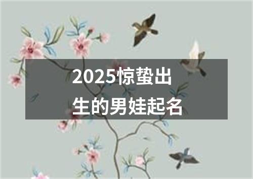 2025惊蛰出生的男娃起名