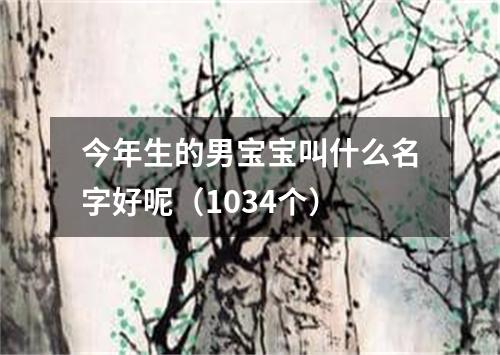 今年生的男宝宝叫什么名字好呢（1034个）