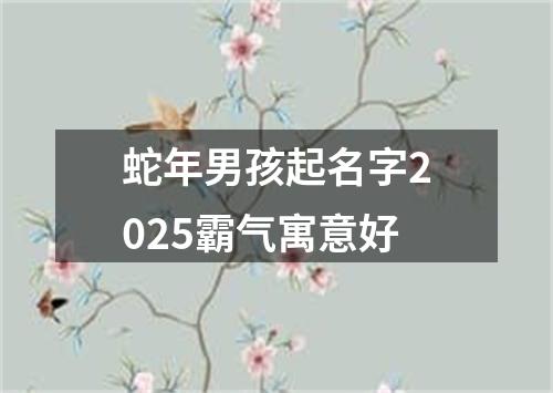 蛇年男孩起名字2025霸气寓意好