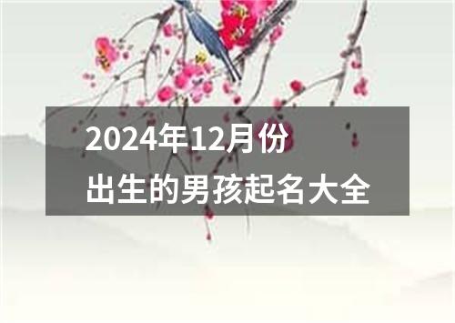 2024年12月份出生的男孩起名大全