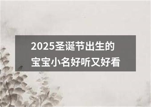 2025圣诞节出生的宝宝小名好听又好看