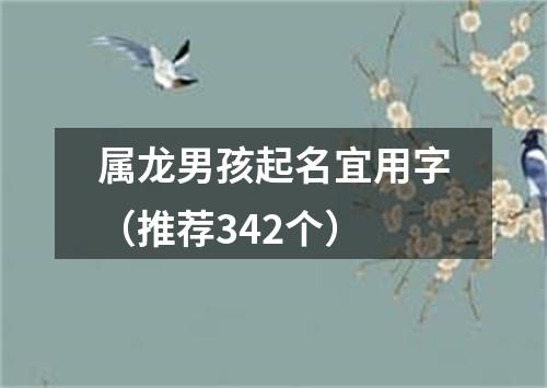 属龙男孩起名宜用字（推荐342个）