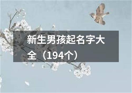 新生男孩起名字大全（194个）