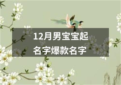 12月男宝宝起名字爆款名字