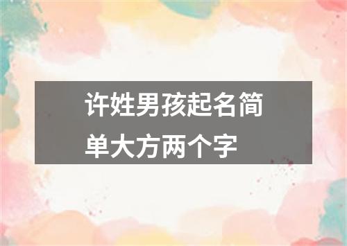 许姓男孩起名简单大方两个字