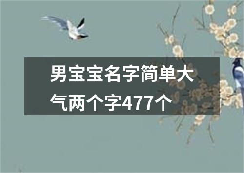 男宝宝名字简单大气两个字477个