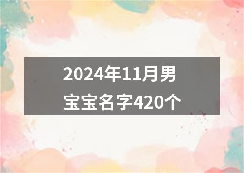 2024年11月男宝宝名字420个