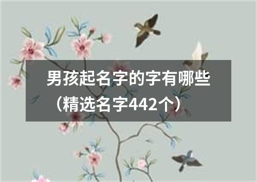 男孩起名字的字有哪些（精选名字442个）