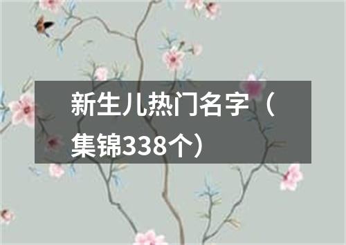 新生儿热门名字（集锦338个）