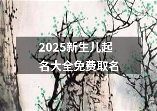 2025新生儿起名大全免费取名