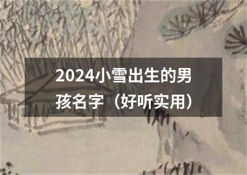 2024小雪出生的男孩名字（好听实用）