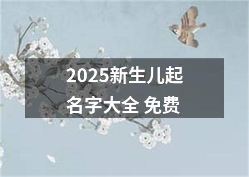 2025新生儿起名字大全 免费