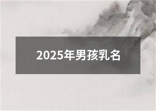 2025年男孩乳名