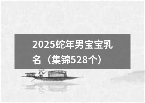 2025蛇年男宝宝乳名（集锦528个）