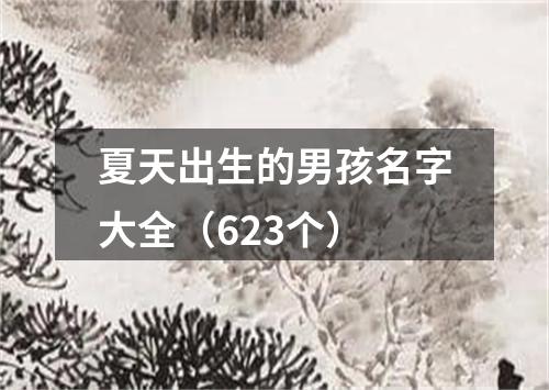 夏天出生的男孩名字大全（623个）