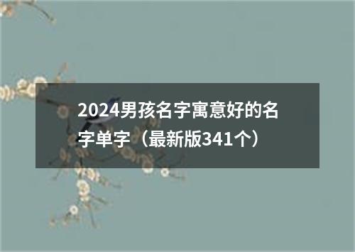 2024男孩名字寓意好的名字单字（最新版341个）