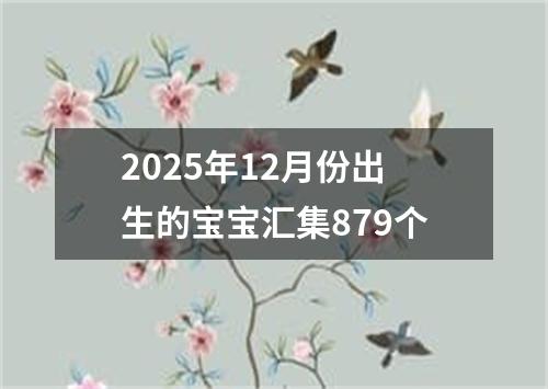 2025年12月份出生的宝宝汇集879个