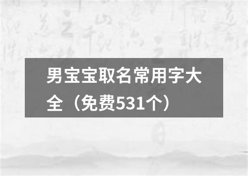 男宝宝取名常用字大全（免费531个）