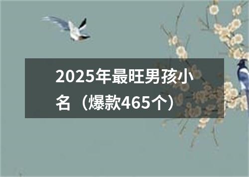 2025年最旺男孩小名（爆款465个）