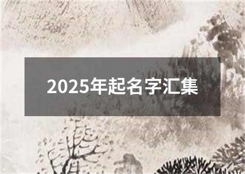 2025年起名字汇集