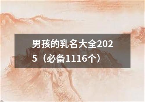 男孩的乳名大全2025（必备1116个）