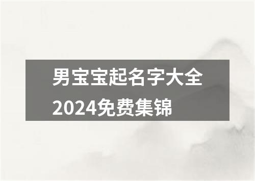 男宝宝起名字大全2024免费集锦