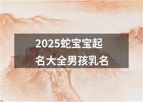 2025蛇宝宝起名大全男孩乳名