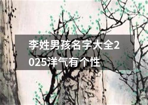 李姓男孩名字大全2025洋气有个性