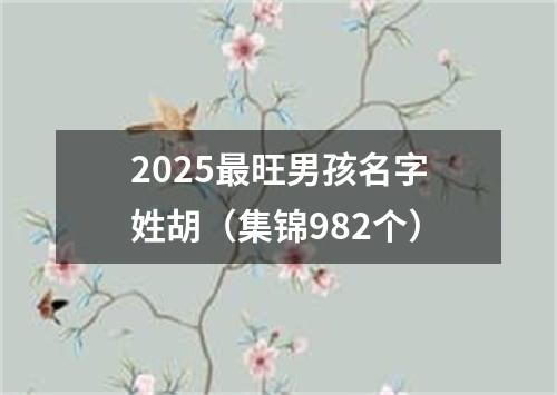 2025最旺男孩名字姓胡（集锦982个）