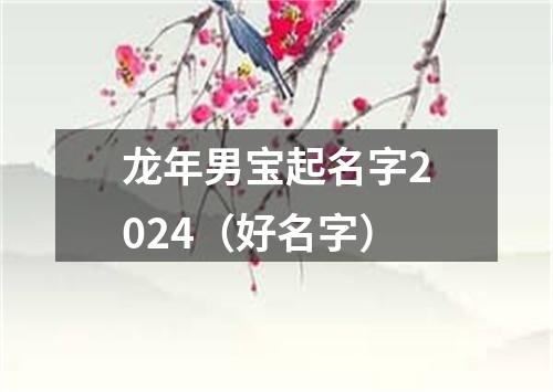 龙年男宝起名字2024（好名字）