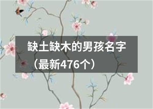 缺土缺木的男孩名字（最新476个）