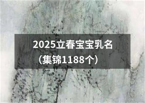 2025立春宝宝乳名（集锦1188个）