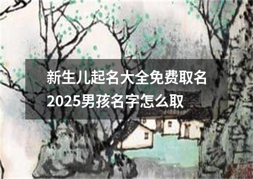 新生儿起名大全免费取名2025男孩名字怎么取