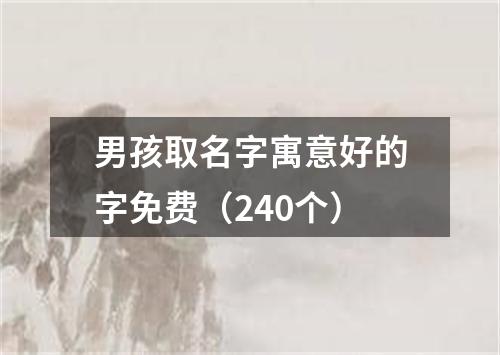 男孩取名字寓意好的字免费（240个）