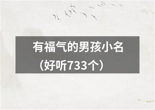 有福气的男孩小名（好听733个）