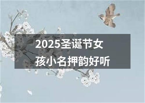 2025圣诞节女孩小名押韵好听