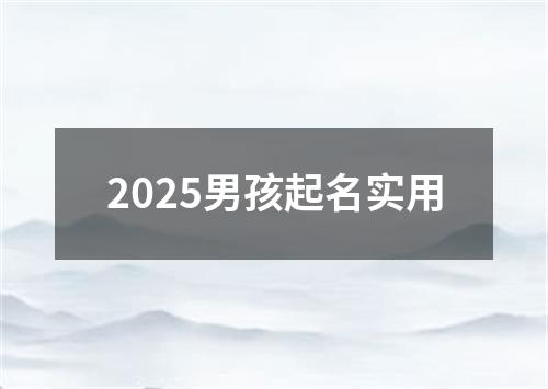 2025男孩起名实用