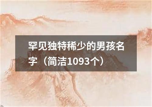 罕见独特稀少的男孩名字（简洁1093个）