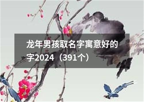 龙年男孩取名字寓意好的字2024（391个）