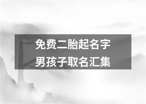 免费二胎起名字男孩子取名汇集