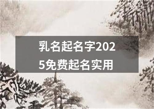 乳名起名字2025免费起名实用