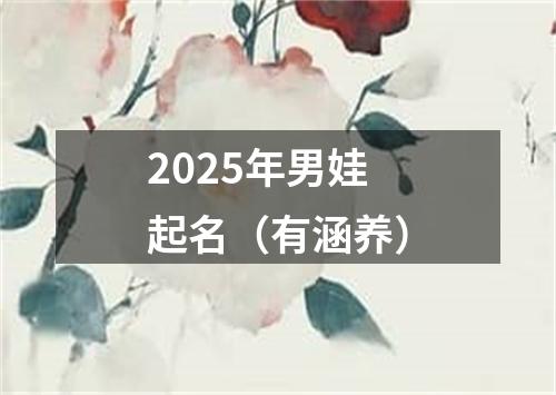 2025年男娃起名（有涵养）