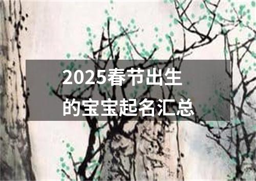 2025春节出生的宝宝起名汇总