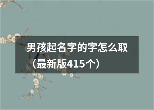 男孩起名字的字怎么取（最新版415个）