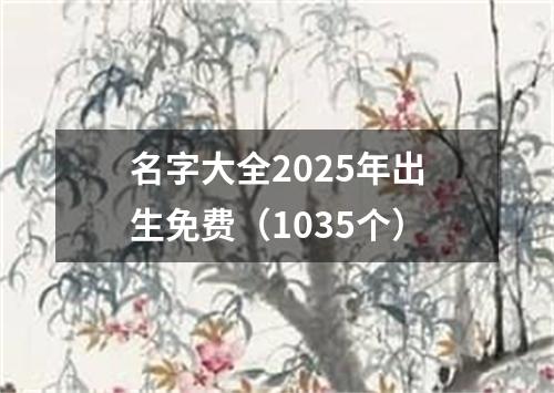 名字大全2025年出生免费（1035个）